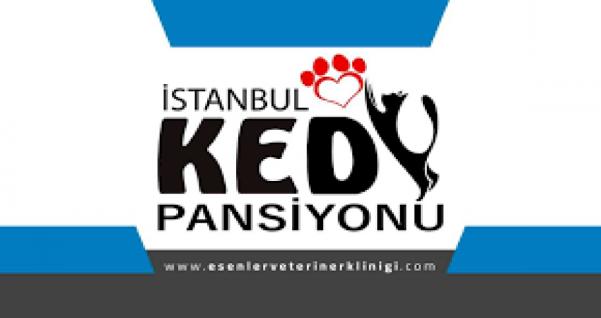 İstanbul Kartal  Kedi Oteli ve pansiyonu